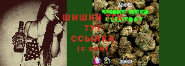 дмт Алзамай