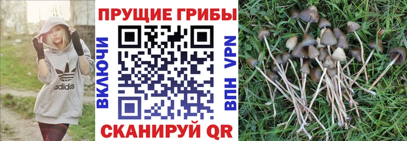 даркнет сайт  Усть-Лабинск  Галлюциногенные грибы мухоморы 